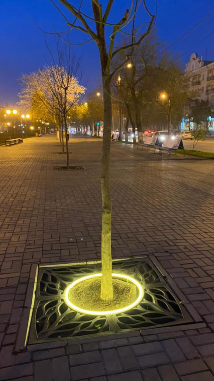 Приствольная решетка для дерева ZKING CRUST 1.2х1.2м Черная в Калуге фото